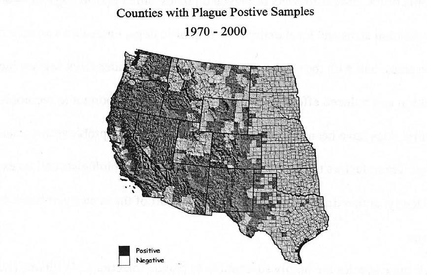 southern Oregon to the north. By the mid 1930s plague was discovered as far east as 105 Wyoming, Utah, and Arizona, and by 1950 it had spread to approximately its current distribution (Figure 2).