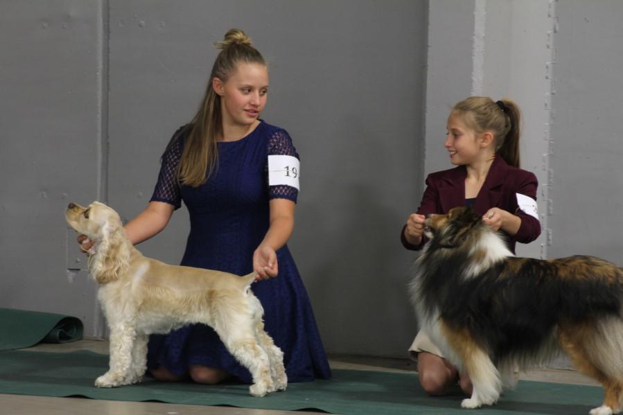 Welcome to the Weld County Dog Project! The information in this handbook will help dog project members successfully complete their 4-H Dog Project.