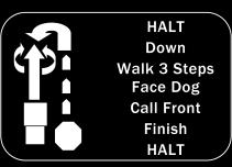 At handler's command and/or signal, dog downs in place while handler continues at least three steps forward. Handler turns and faces dog.
