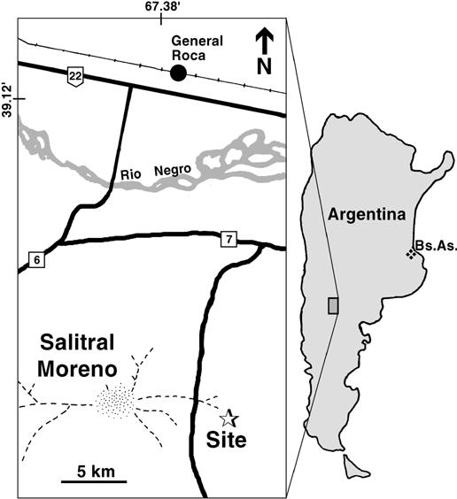 4 AMERICAN MUSEUM NOVITATES NO. 3323 Fig. 1. Map of Argentina, indicating the locality of Salitral Moreno (Río Negro Province) where the holotype of Limenavis patagonica was collected.