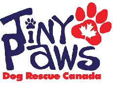 TINY PAWS DOG RESCUE CANADA Foster Home Application We appreciate the time and love freely given to our rescue dogs by our foster families.