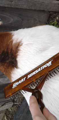 All combs and brushes have synthetic material in the plastic teeth that are gentle to the animals hide.