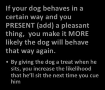 Positive Reinforcement: (pleasant) If your dog behaves in a certain