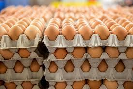 4 farm gate price. Pullet eggs are trading at ZMK18 per tray.