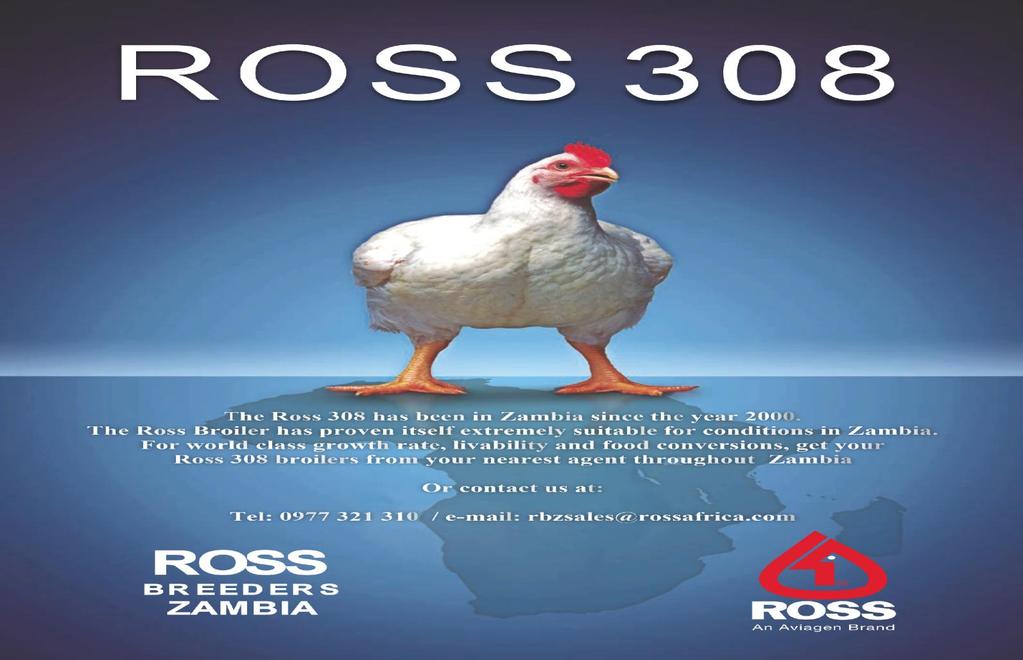 ROSS BREEDERS ZAMBIA-Day old chicks, Cell: 0977-321 310 Email:rbzsales@rossafrica.