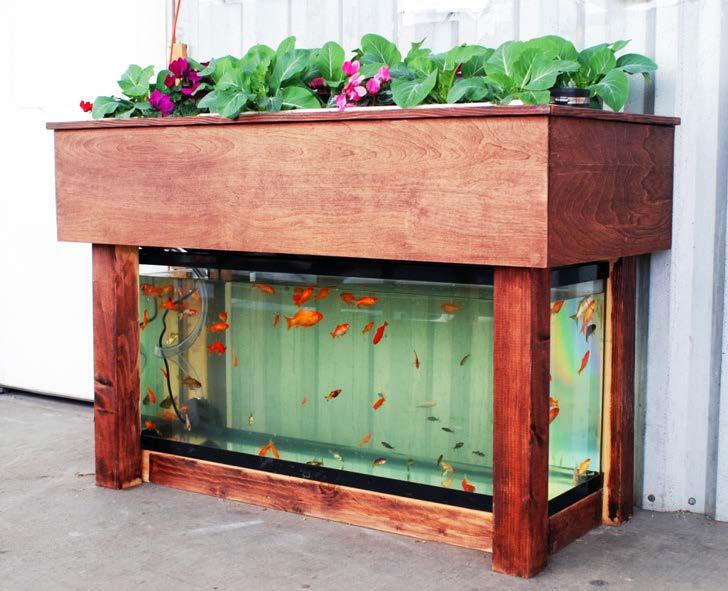 Aquaponics Components Fish Tank Place to Grow Plants Water Pump(s) Air Pump Irrigation