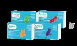 Injectable solution for dogs and cats Injection (2 mg/kg for dogs and