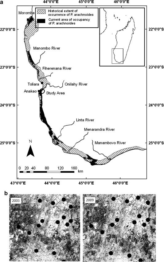 Figure 6. Study site within the core of spider tortoise coastal dry forest range, southwest Madagascar (Walker et al. "Effect of Habitat Degradation" 153).
