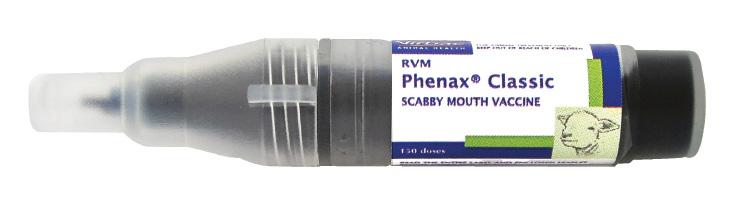 SPECIAL PRECAUTIONS: Care should be taken because Phenax is a live virus vaccine that can be transmitted to and infect humans.