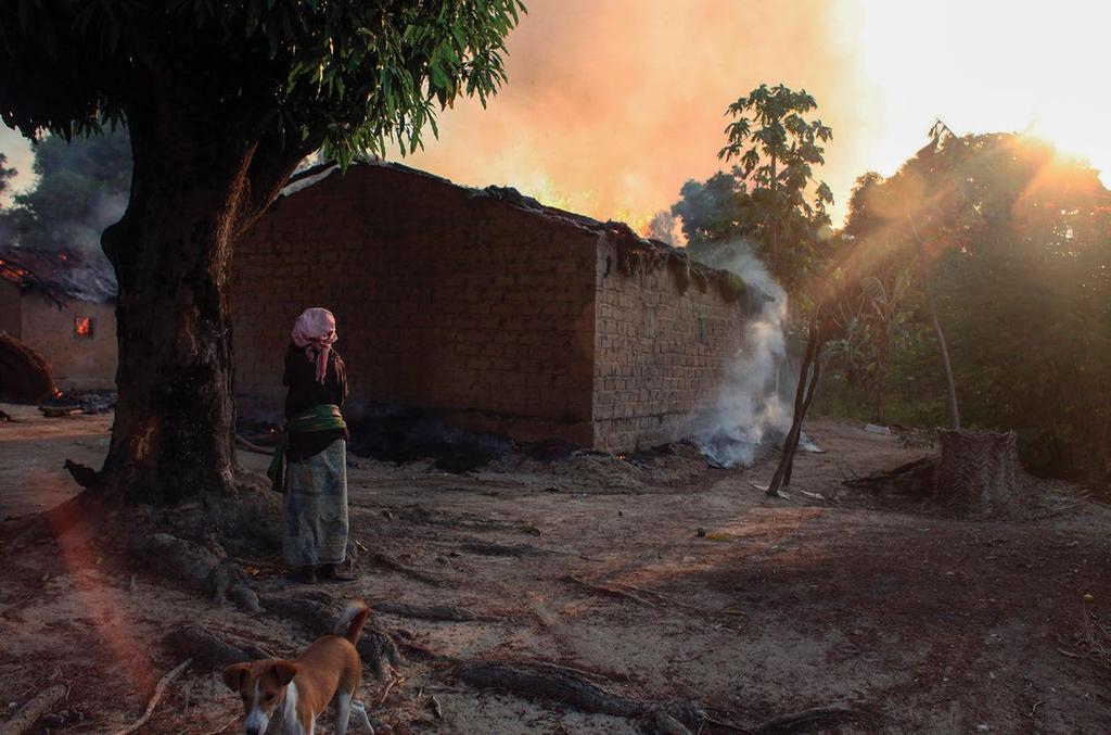 Wars in Basenji Lands By Bill McCann Woman in a Central African Republic village, 14 January 2014 Photo Reuters, used with permission 2 CENTRAL SOUTH AFRICAN SUDAN REPUBLIC DEMOCRATIC REPUBLIC OF THE