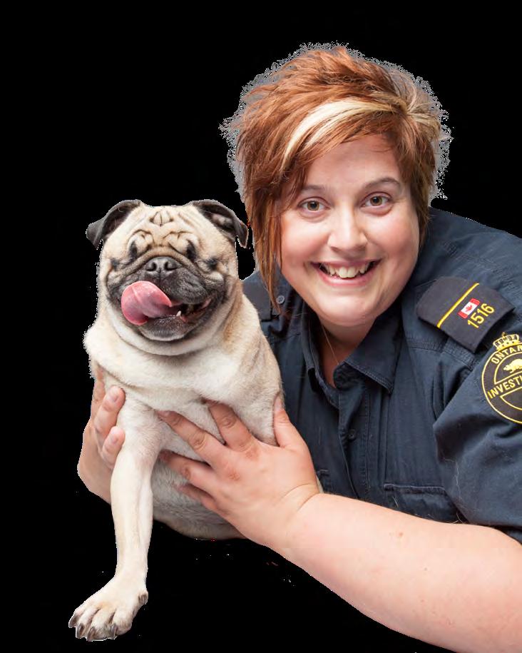 ONTARIO SPCA PROVINCIAL DOG REHABILTATION CENTRE First of its kind in