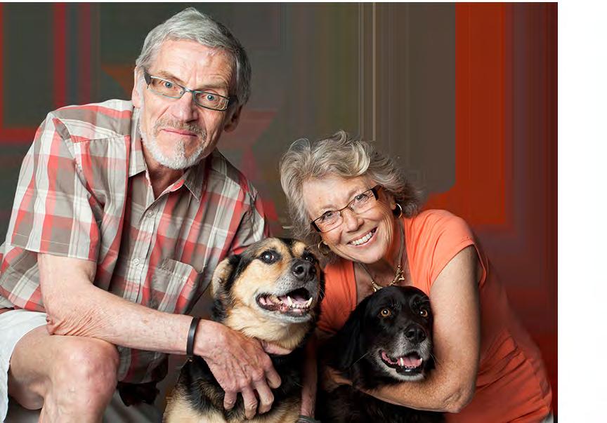 3 COMPONENTS: Peterborough Humane Society Adoption
