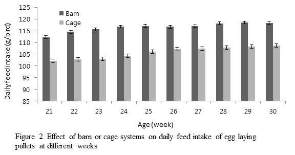70 Ahammed and Ohh : Barn vs Cage on Egg Production and Quality heavier than that of cage eggs. Several observations (Singh et al.