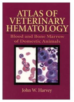 2) SUGGESTED READING Haematology and
