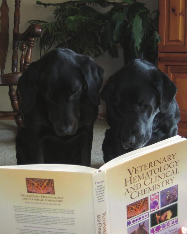 Preface Figure P.1 Dogs caught reading the book in an attempt to make their disease responses predictable. Not all will read the book. (Courtesy of Dr. Sara Hill.