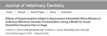 Dental Nerve Blocks Effect of bupivacaine alone may exceed 24 hr Addition of buprenorphine