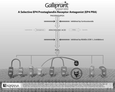 Galliprant Non-COX-inhibiting prostaglandin receptor antagonist (PRA) Blocks the EP4 receptor Identified as the primary mediator of canine osteoarthritis pain and inflammation Impact on GI, renal,