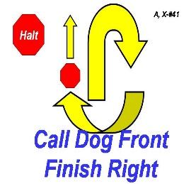 Rings have a full complement of Rally Signs and equipment. No back to back runs with the same dog if others are waiting, please alternate with other handlers.