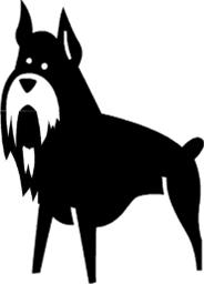 RULES PERTAINING TO NON-REGULAR CLASSES OBEDIENCE WILD CARD NOVICE: The Wild Card Novice class is for any dog that is capable of performing the Novice exercises and that is eligible under the