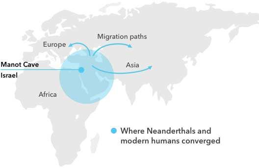 3 of 5 1/3/2018 1:21 PM 60,000 Years Ago Neanderthals and Modern Humans Converge Around 60,000 years ago, modern humans started to explore beyond Africa, encountering and interbreeding with their