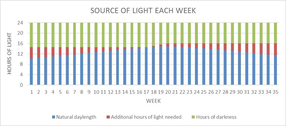 ready for light stimulation, around 16 weeks of age (May 22, 2018). At that time there were will be 14.4 hours of light, with sunrise at 5:22 a.m. and sunset at 7:47 p.m. This means that you will need to maintain the hours of light per day to 14.
