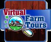 Activity: Purpose: Age Group: Take a Virtual Farm Tour To provide an alternative to visiting a dairy farm at a meeting All members Time Allotted: Could be done as a take-home activity or during a
