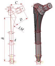 influential parameters (geometric, exploitation and operative) into the geometric form creating the computer model of the endoprosthesis body.
