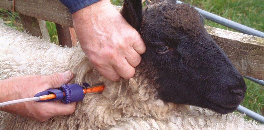 The BRP Cattle and Sheep Parasite Control Product Guide A comprehensive list of