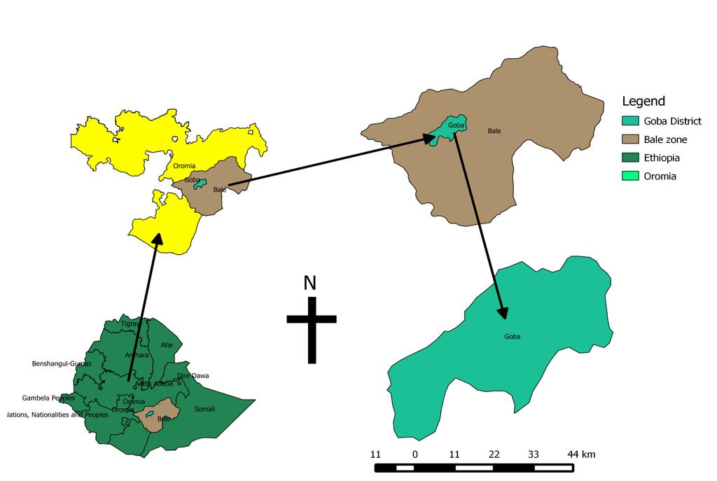 Citation: Wubishet ZW. Cross sectional survey of equine gastro intestinal stroglylosis and Fasciolosis in Goba District of Bale Zone, Oromia Regional State, Ethiopia J Parasit Dis Diagn Ther.