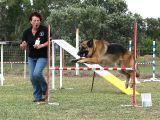 COCT Inc AGILITY TRAINING MONDAY NIGHTS Equipment for the training of dogs for agility will be made available on Monday nights as from the 16 th November 09 and over the Xmas period commencing at 6