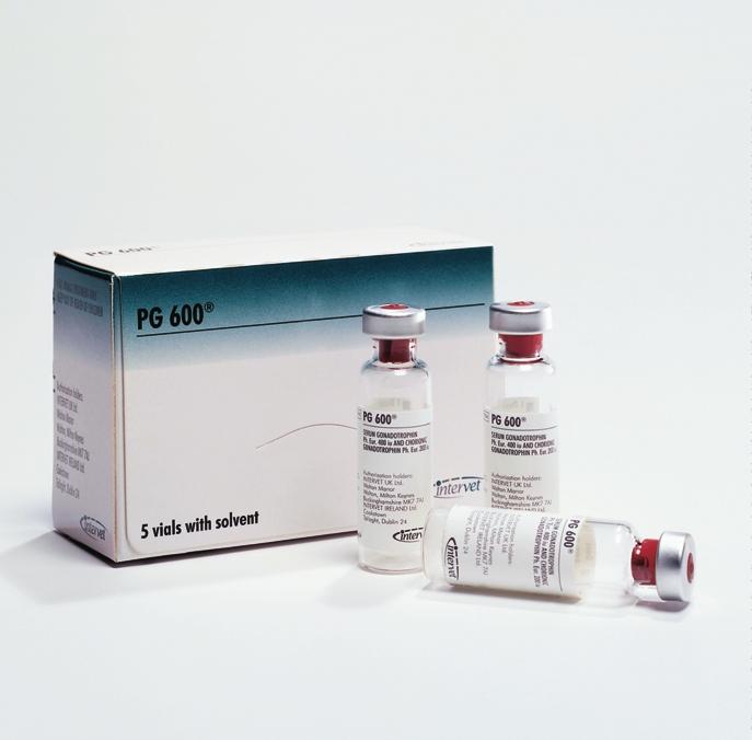 turns the heat on Description is a hormonal product containing IU Pregnant Mare Serum Gonadotrophin (PMSG) and 2 IU Chorionic Gonadotrophin (hcg) per dose, as a freeze-dried powder.