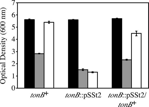 3944 ANDERSON AND ARMSTRONG J. BACTERIOL. FIG. 3. TonB-dependent growth stimulation by norepinephrine. B. bronchiseptica strains B013N (tonb ), BRM31(pBBR1MCS-1) (tonb:: psst2), and BRM31(pBB41) (tonb::psst2/tonb ) were used.