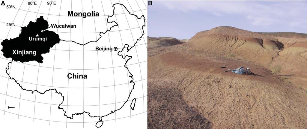 2 J. N. Choiniere et al. Figure 1. Locality of holotype. A, map of China showing Xinjiang and location of Wucaiwan locality; B,photograph of holotype locality of IVPP V15709.