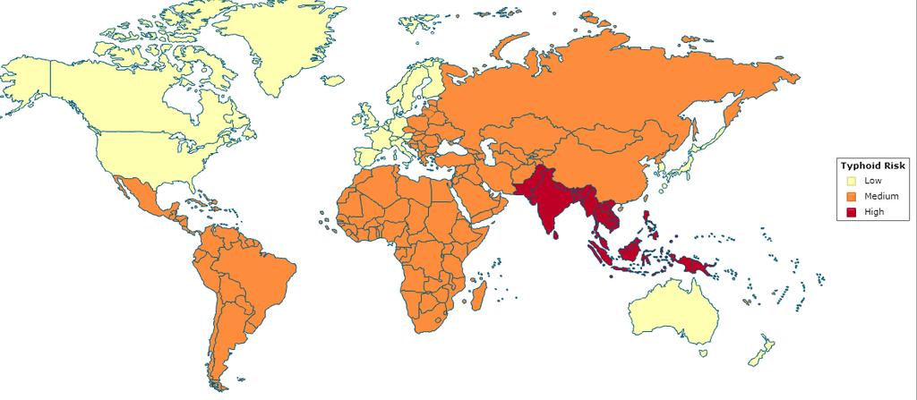 Typhoid: Disease Burden Typhoid fever: a global public health problem Around