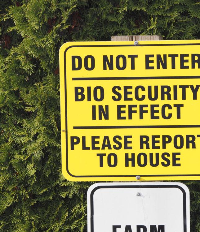 Disease Prevention Meets Biosecurity Good biosecurity protocols are essential to reducing the risk of poultry disease on your farm.