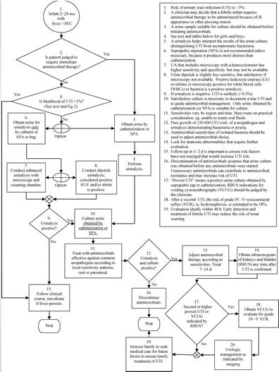 Clinical practice guideline algorithm.