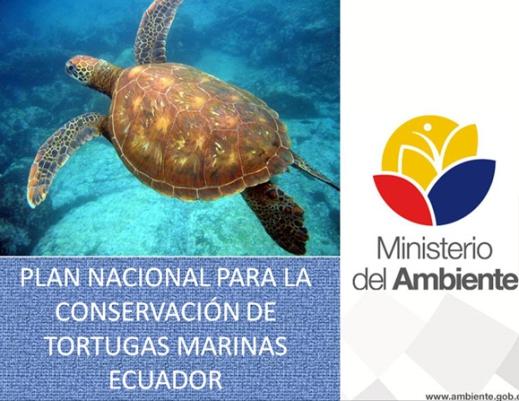 Protection of Sea Turtles, Rays and Sharks in the Ecuadorian Coast During the COP11 of the Convention on the Conservation of Migratory Species of Wild Animal (CMS), the Ecuadorian Environment