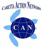 The Caretta Action Network CAN is a co-project of the Aktionsgemeinschaft Artenschutz e.v. and the Bund Deutscher Tierfreunde e.v. The pictures made availible for this presentation are from: Seaturtle.