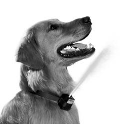 5 6 Introducing your dog to the collar Options for using the collar: I. As a management tool.