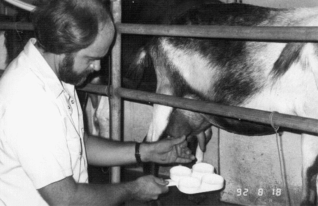 Mastitis in Dairy Goats 2 It is of long duration. It is difficult to detect. It reduces milk production. It adversely affects milk quality. standards for goat milk will remain at 1,000,000/ml.