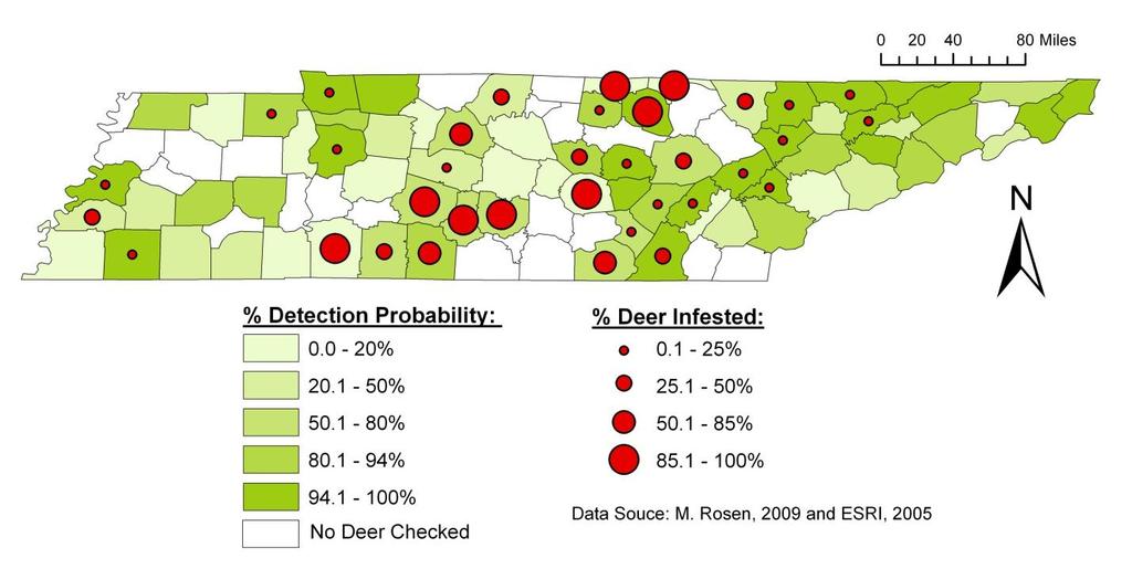 Plateau (32.7%), West Tennessee (7.3%) and East Tennessee (3.77%; Table 2.1, Figure 2.3). Ixodes scapularis Deer infested with I.