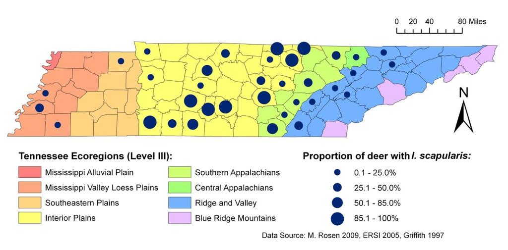 Figure 2.6: Proportion of deer infested with I. scapularis compared with Tennessee s Level III ecoregions. Each county was assigned its dominant ecoregion, based on Griffith s (1997) Level III map.