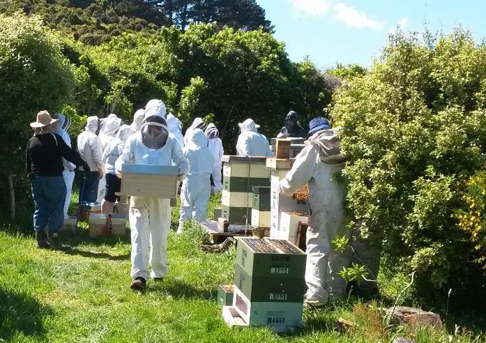 Chartwell Apiary Nucs collection Twenty-one excited new beekeepers collected