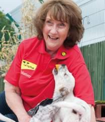 VOLUNTEERING WITH DOGS TRUST Why volunteer? As well as having full and part time employees, Dogs Trust also has lots of volunteers who give up their time to help us for free.