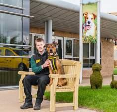 CANINE CARER A Canine Carer is also based at the rehoming centre and is responsible for looking after the dogs; which involves walking them, feeding them, keeping kennels clean and other duties as