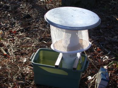 The primary target species are Culex and Aedes albopictus. We set the Gravid Traps in areas that have the older sewage systems and have high numbers of the above species.