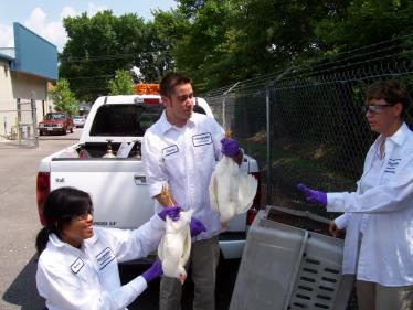 Taking Serum Sample from Chicken PUBLIC EDUCATION Extensive efforts are made to inform and educate the public about potential diseases related to mosquitoes and methods of mosquito control.