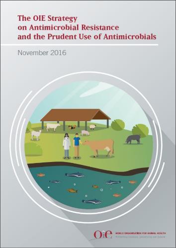 OIE Strategy on AMR and Prudent Use of Antimicrobials Context 2015 Global Action Plan on AMR and the Tripartite Partnership OIE World Assembly Resolutions on AMR in 2015 and 2016 OIE Strategy