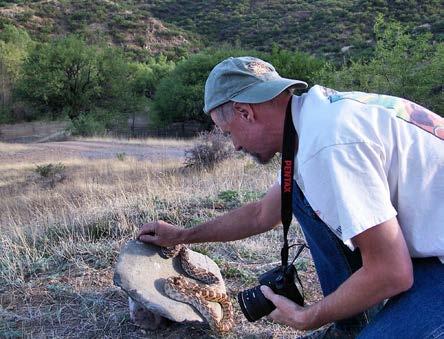 In this presentation Robert will share recent herpetological contributions mainly focused in the state of Sonora, and some highlights of a round trip drive to Guatemala from Tucson.