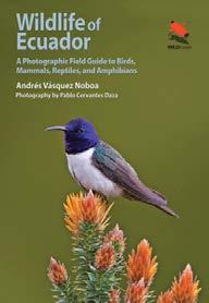 BOOK REVIEW Wildlife of Ecuador Howard O. Clark, Jr., Senior Scientist, Colibri Ecological Consulting, LLC, Fresno, CA; hclark@colibri-ecology.